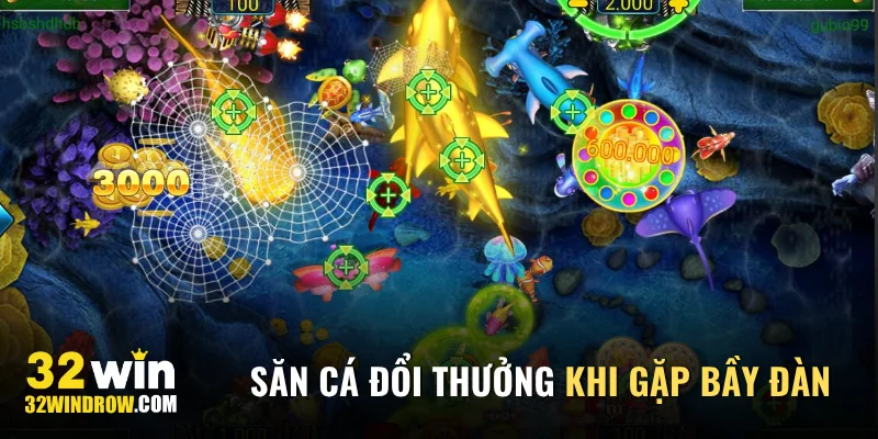 Bí quyết săn cá đổi thưởng khi gặp bầy đàn