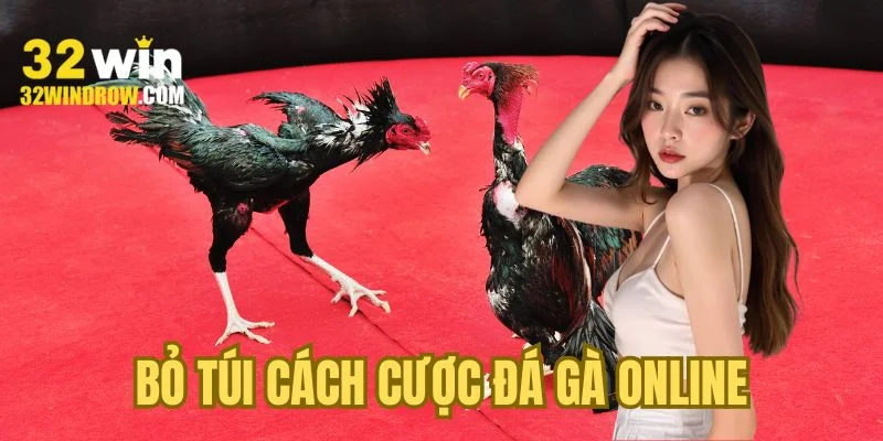 Bỏ túi cách cược đá gà online siêu chuẩn