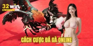 cach-cuoc-da-ga-online