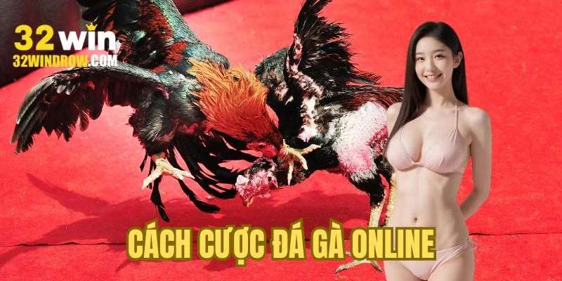 cach-cuoc-da-ga-online