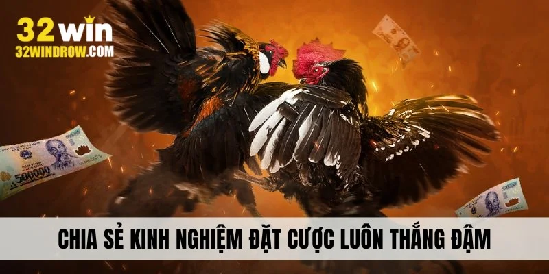 Chia sẻ kinh nghiệm đặt cược luôn thắng đậm