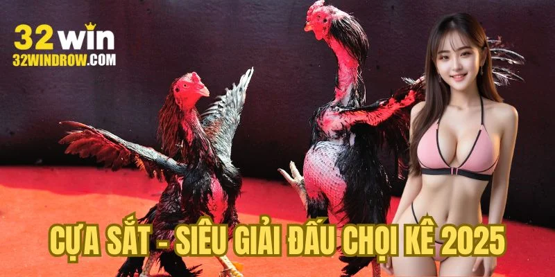 Cựa sắt - Siêu giải đấu chọi kê 2025