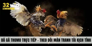 da-ga-thomo-truc-tiep