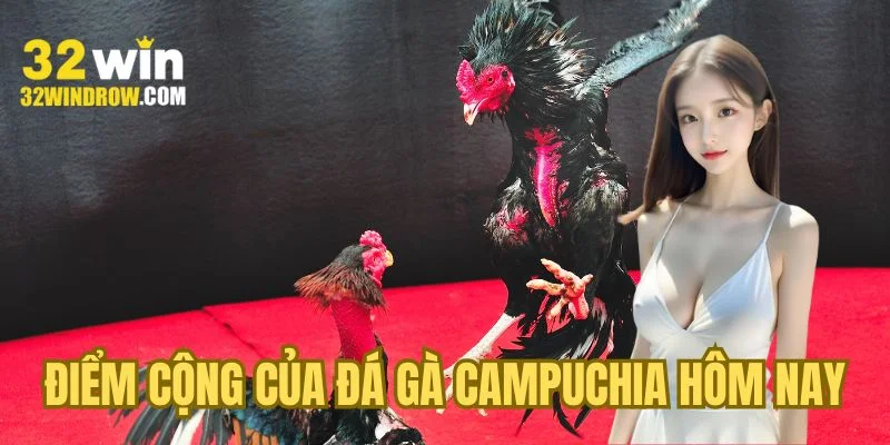 Điểm cộng của đá gà Campuchia hôm nay