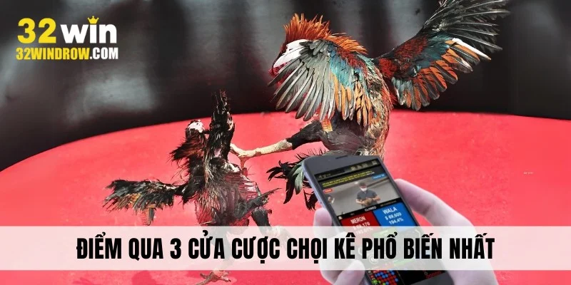 Điểm qua 3 cửa cược chọi kê phổ biến nhất