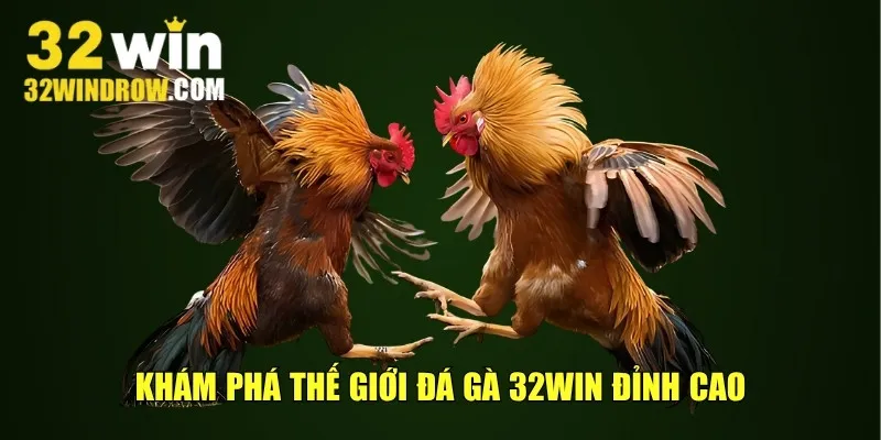 Khám phá thế giới đá gà 32win đỉnh cao