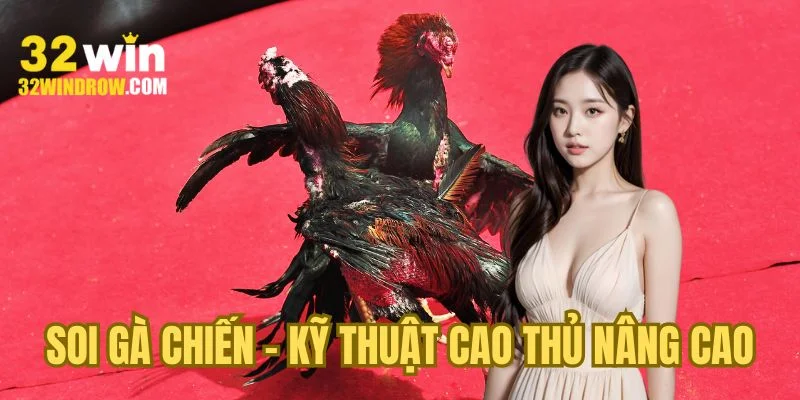 Soi gà chiến - Kỹ thuật cao thủ nâng cao