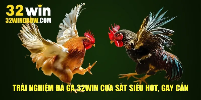 Trải nghiệm đá gà 32win cựa sắt siêu hot, gay cấn